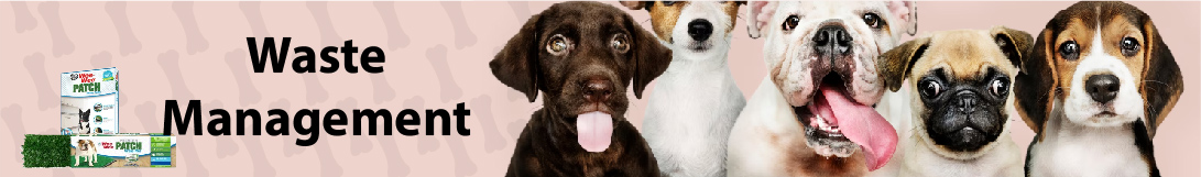 dog banner image